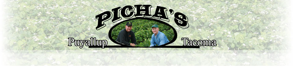 Picha Farms - Tacoma & Puyallup